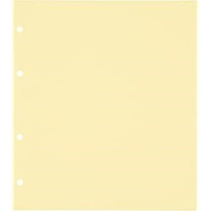 PACK 25 CARTULINAS SEPARADORAS  PARA ALBUM MONEDAS